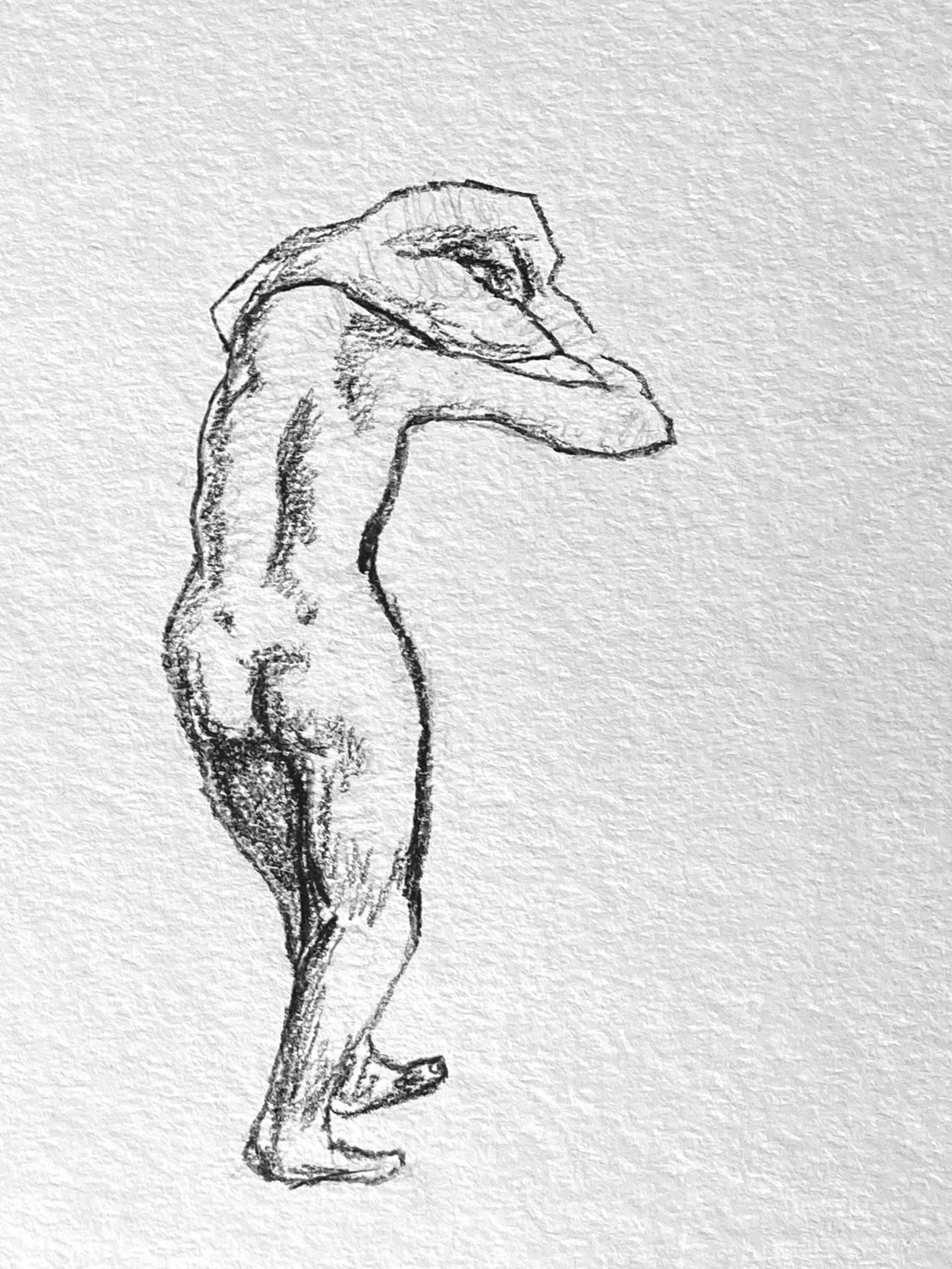 still-strip-pose-compressed