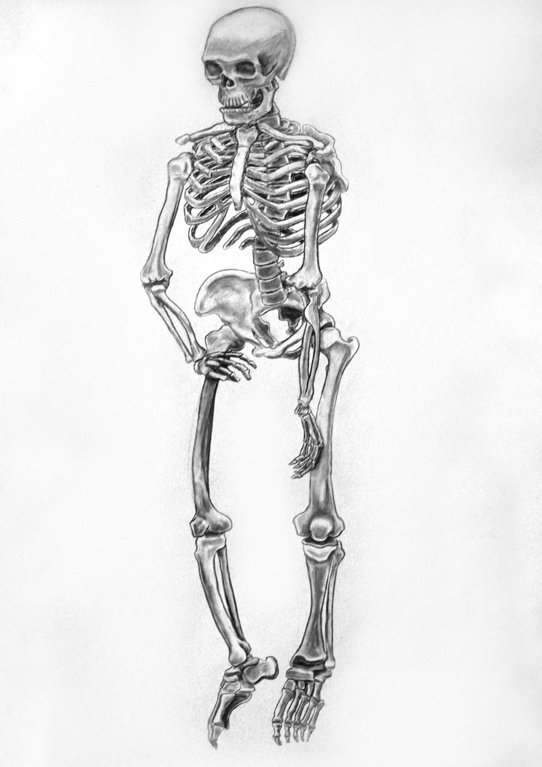 skeleton